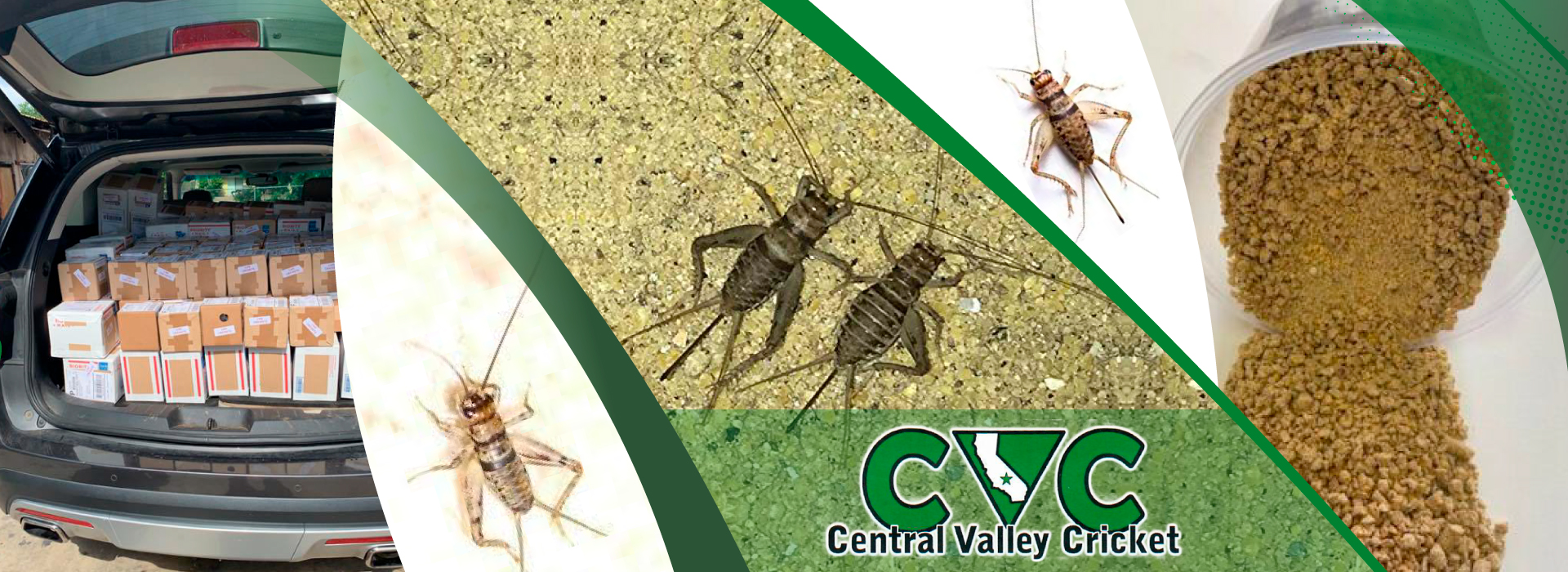 slider - Central Valley Cricket